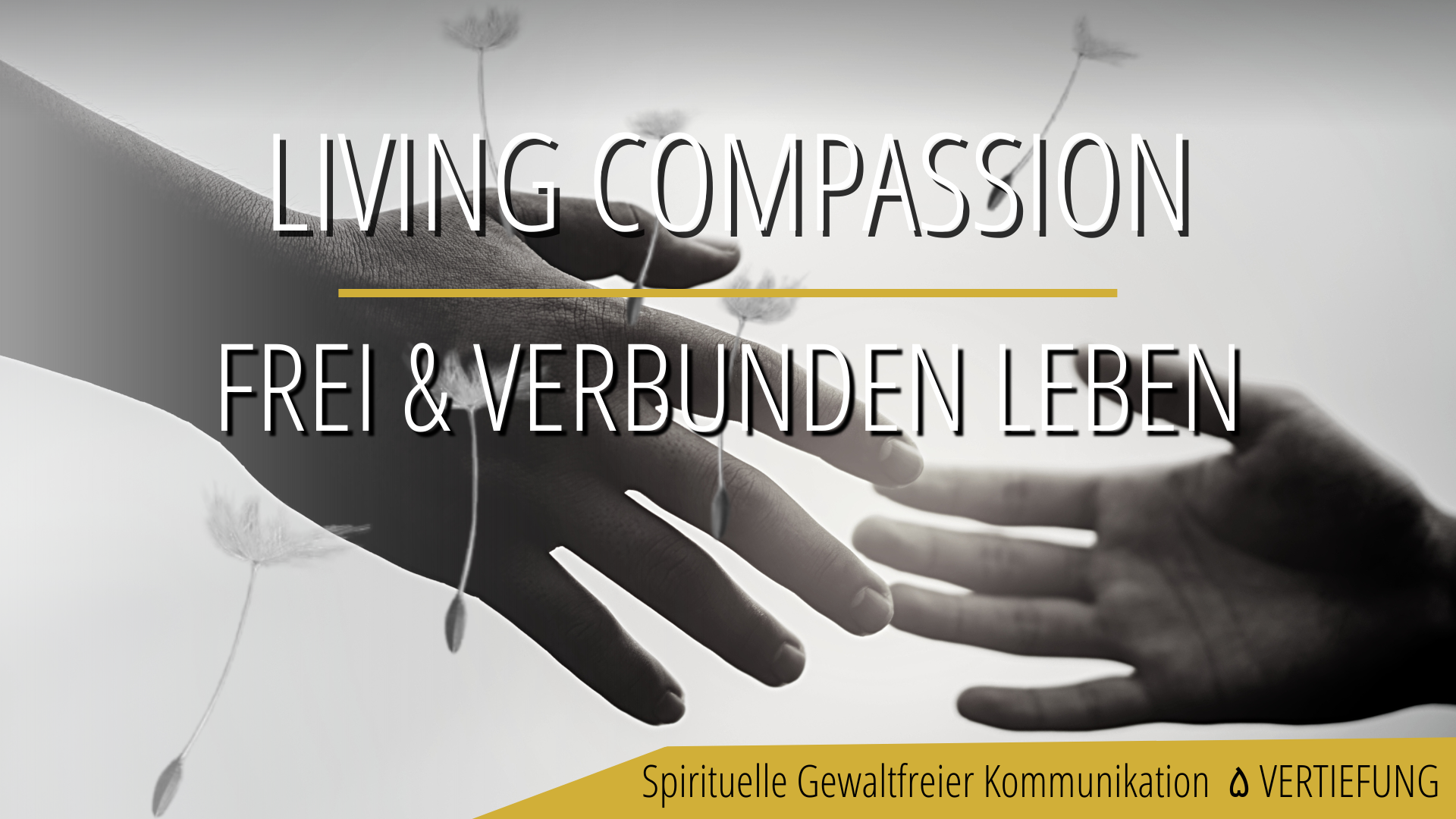 Spirituelle Gewaltfreie Kommunikation VERTIEFUNGSS SEMINAR